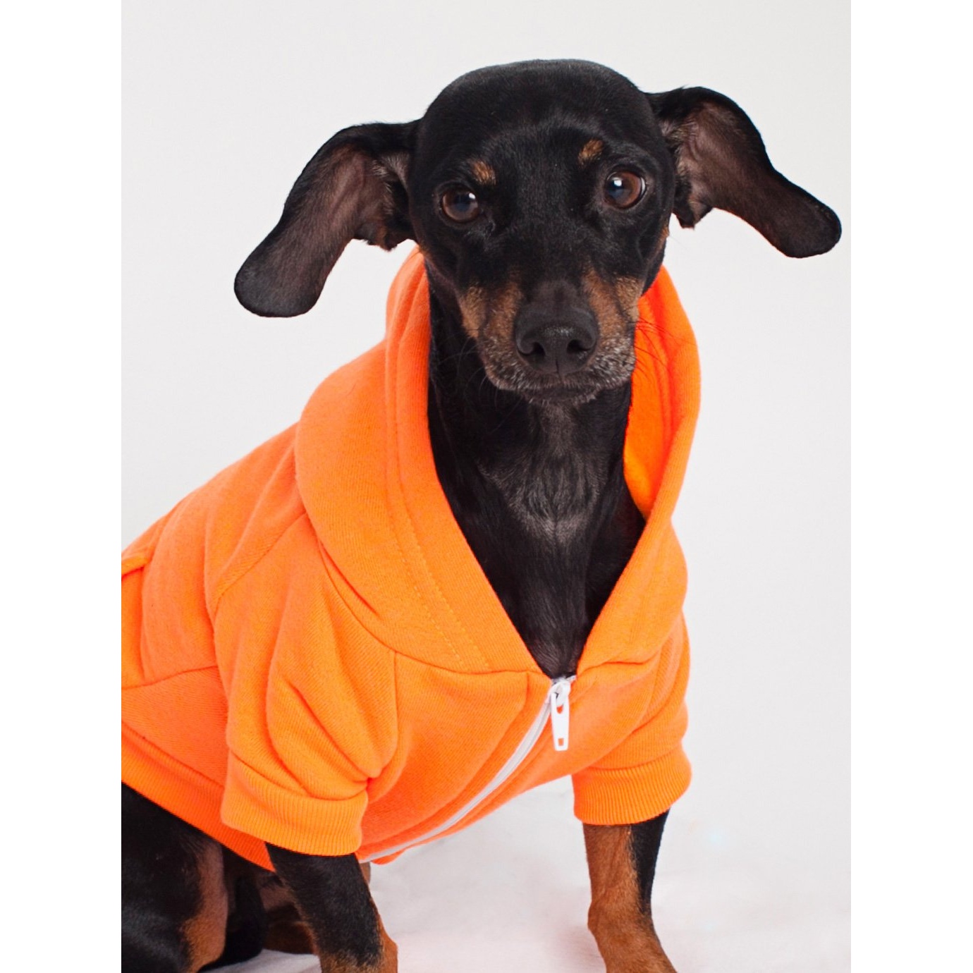 American Apparel Flex Fleece Zip Up Dog Hoodie eBay