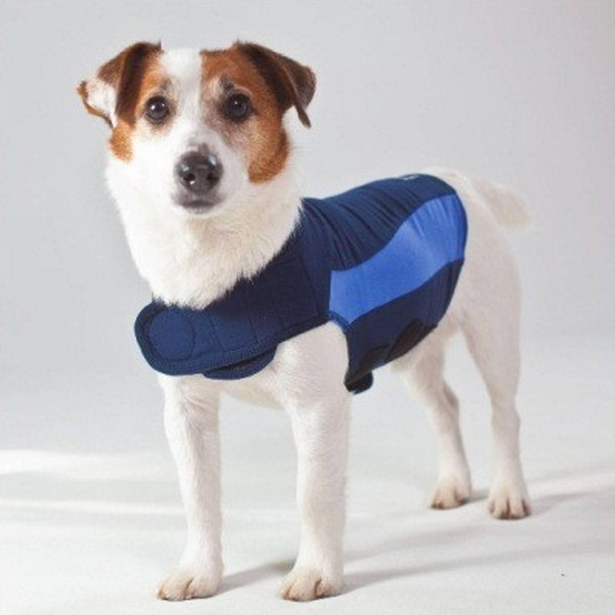 ThunderShirt Polo For Dogs eBay