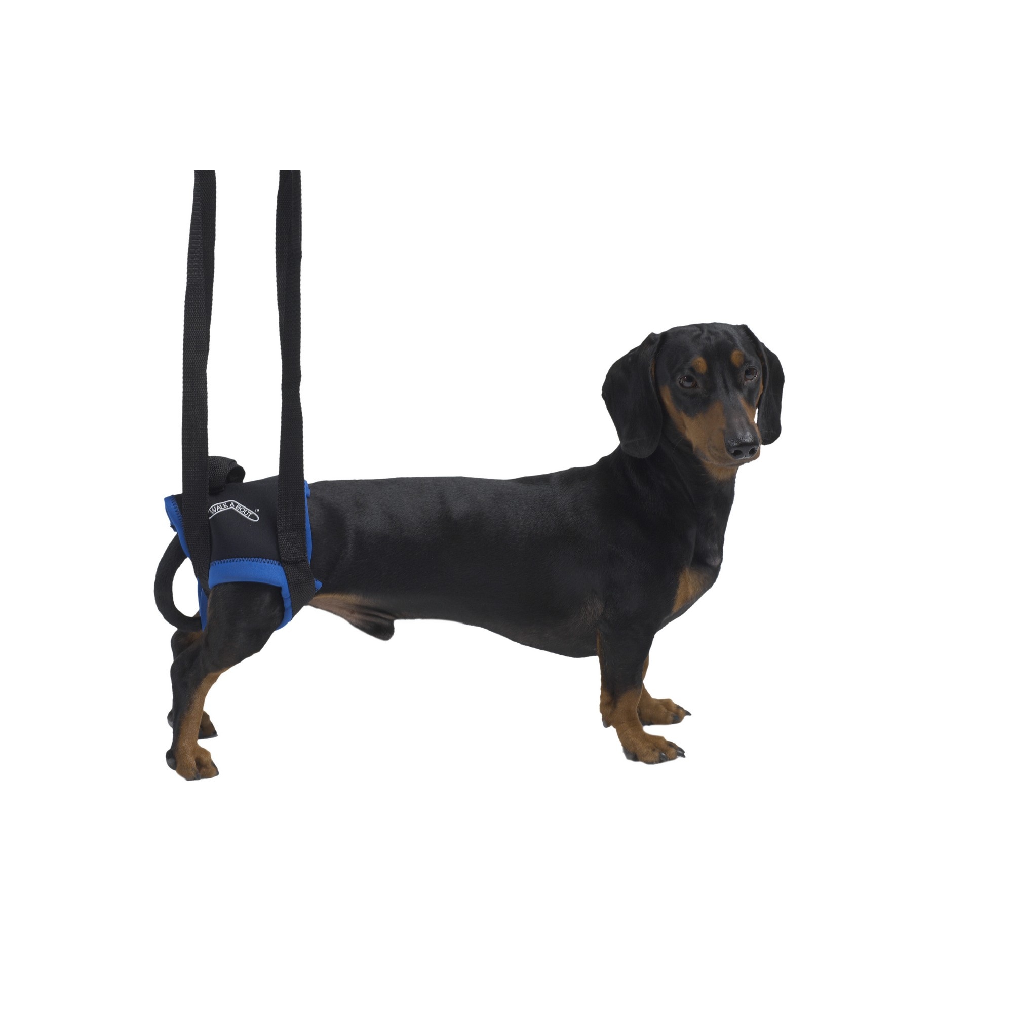 Kruuse Rehab Walkabout Hind Leg Dog Lifting Harness eBay
